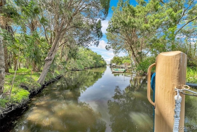 10741 W Pine Bark Ln, Crystal River, FL 34429 - water view
