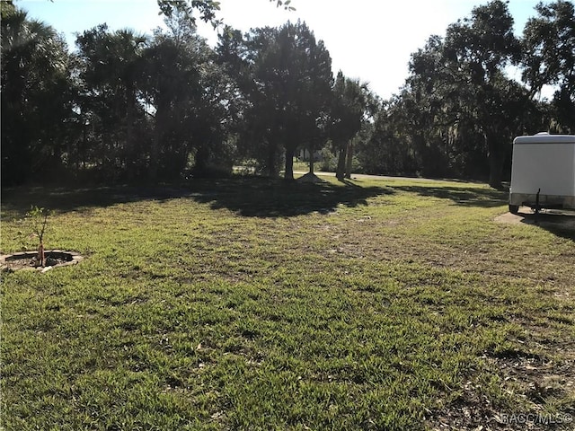 10741 W Pine Bark Ln, Crystal River, FL 34429 - view of grassy yard