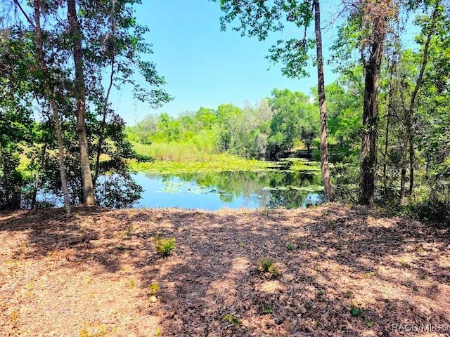 property view of water featuring a view of trees
