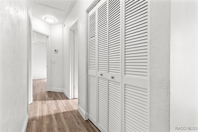 hallway featuring light hardwood / wood-style flooring