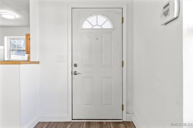 foyer with plenty of natural light and wood-type flooring