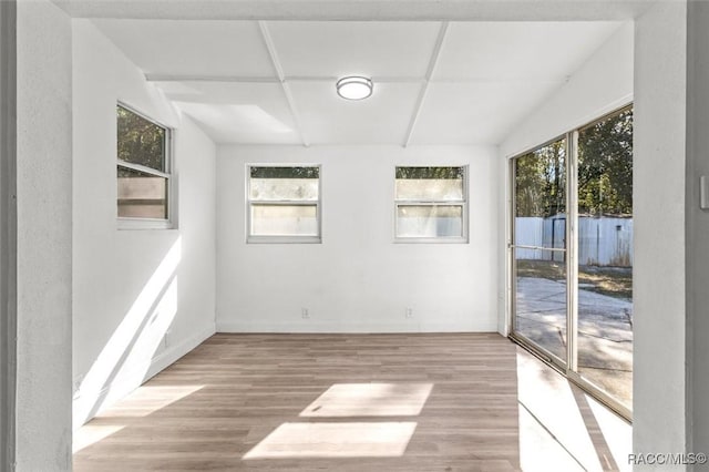 empty room with light wood-type flooring