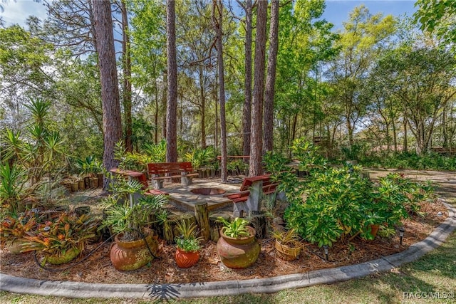 view of yard featuring an outdoor fire pit