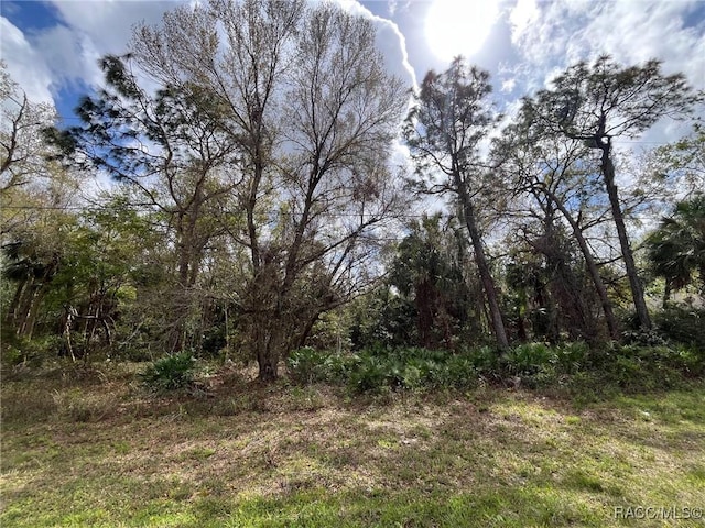 7890 W Briarpatch St, Homosassa FL, 34436 land for sale