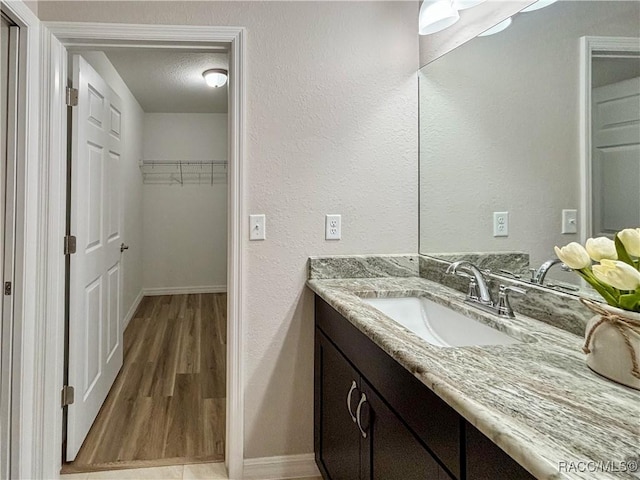 6431 SW 145th Ln, Ocala, FL 34473 - bathroom with vanity, a spacious closet, and wood finished floors