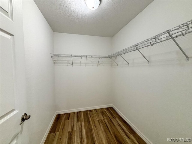 6431 SW 145th Ln, Ocala, FL 34473 - walk in closet with dark wood finished floors