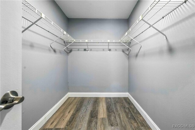 walk in closet with wood finished floors