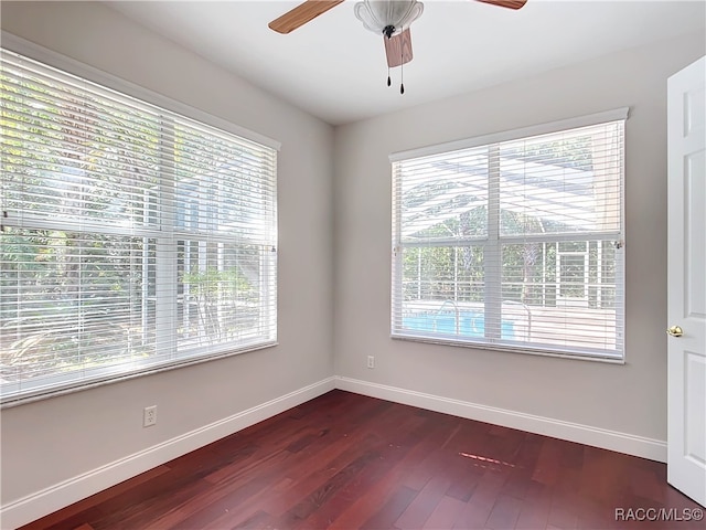 spare room with a wealth of natural light, ceiling fan, and wood-type flooring