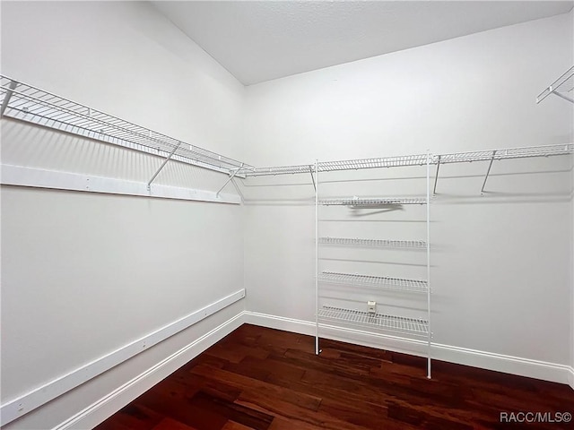 walk in closet featuring hardwood / wood-style floors