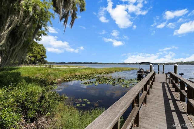 844 Pritchard Island Rd, Inverness, FL 34450 - photo 28
