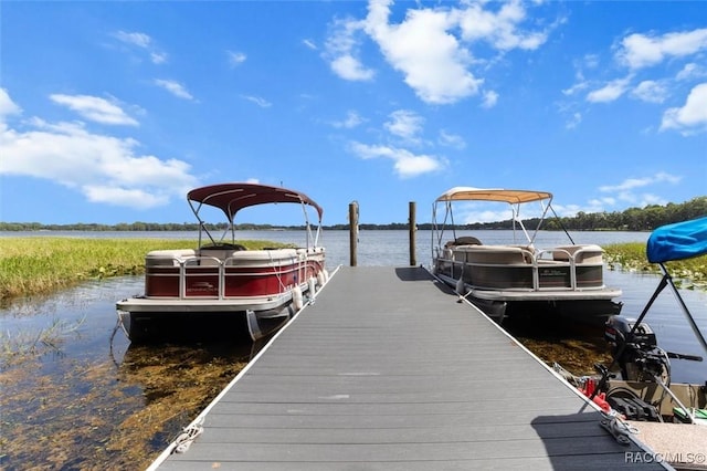 844 Pritchard Island Rd, Inverness, FL 34450 - photo 30