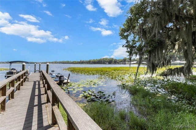 844 Pritchard Island Rd, Inverness, FL 34450 - photo 29