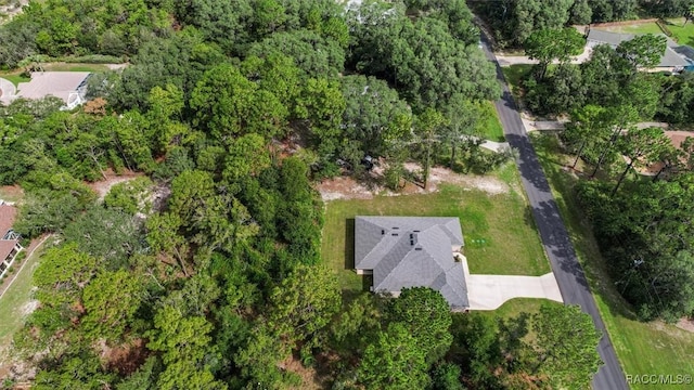 5412 N Mallows Cir, Beverly Hills, FL 34465 - photo 40
