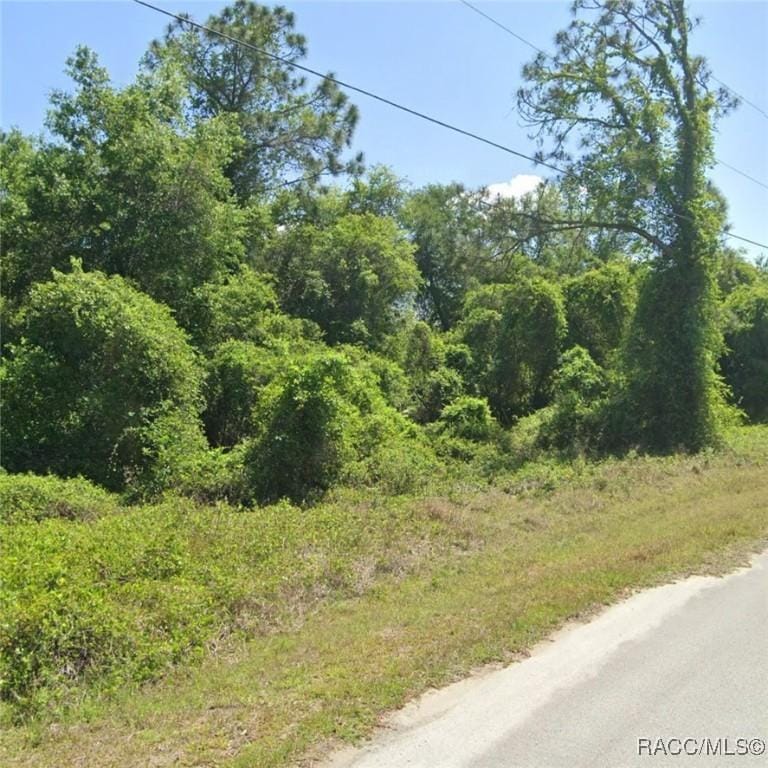 TBD SE 188th Ct, Ocklawaha, FL 32179