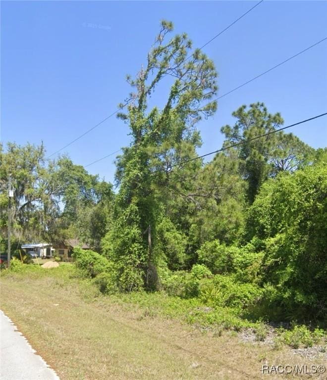 TBD SE 188th Ct, Ocklawaha, FL 32179