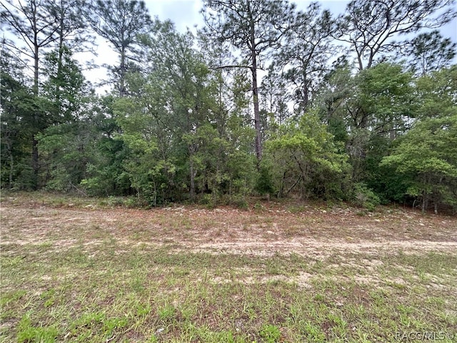 1594 W Donner Dr, Citrus Springs FL, 34434 land for sale