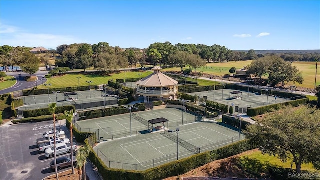 1147 W Pointe Vista Path Unit C1, Hernando, FL 34442 - bird's eye view of a tree filled landscape