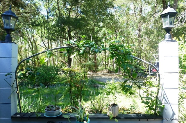 8896 W White Dogwood Dr, Homosassa, FL 34448 - exterior space