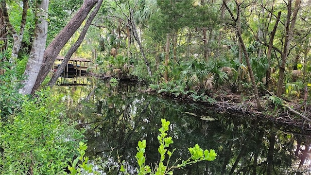8896 W White Dogwood Dr, Homosassa, FL 34448 - view of nature with a wooded view