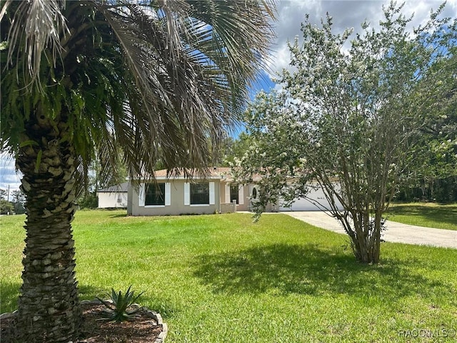 2510 W Dolphin Dr, Citrus Springs, FL 34434 - view of front of property featuring driveway, stucco siding, and a front lawn