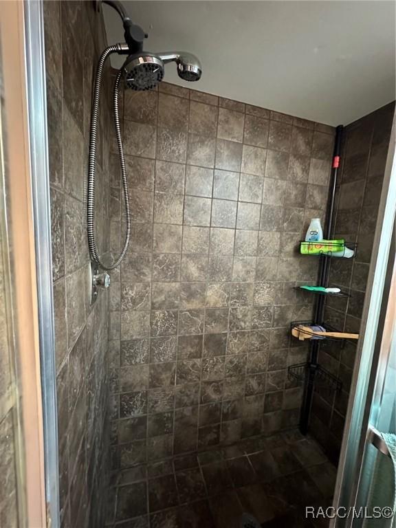 2510 W Dolphin Dr, Citrus Springs, FL 34434 - bathroom featuring tiled shower