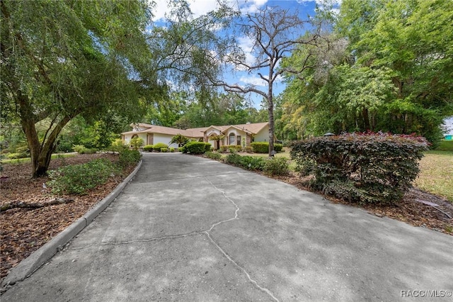 ranch-style house with concrete driveway
