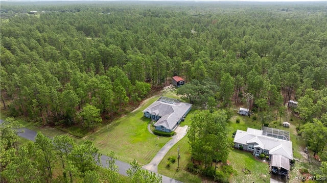 11271 SE 136th Ter, Dunnellon, FL 34431 - view of property location with a forest