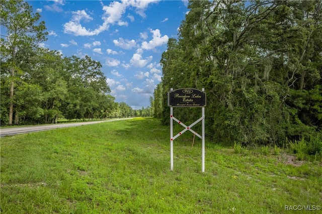 11271 SE 136th Ter, Dunnellon, FL 34431 - view of home's community with a wooded view