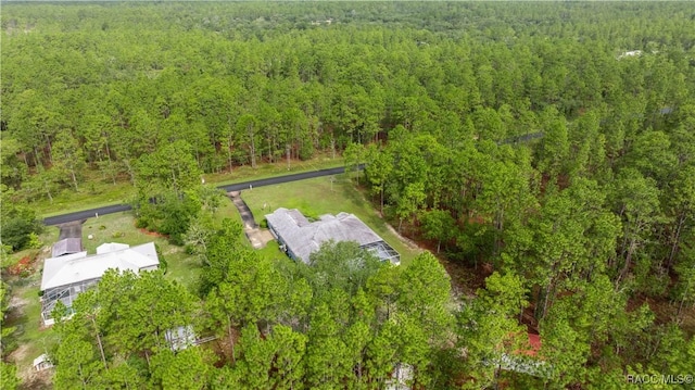 11271 SE 136th Ter, Dunnellon, FL 34431 - photo 51