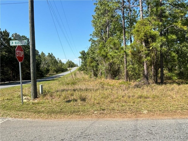 TBD SW Mango Ln, Dunnellon, FL 34431 - photo 4