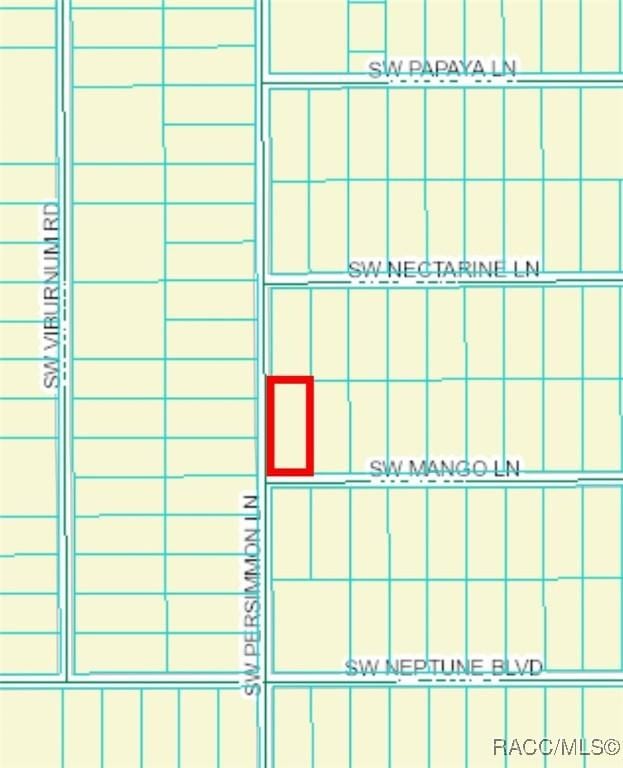 TBD SW Mango Ln, Dunnellon, FL 34431 - photo 5
