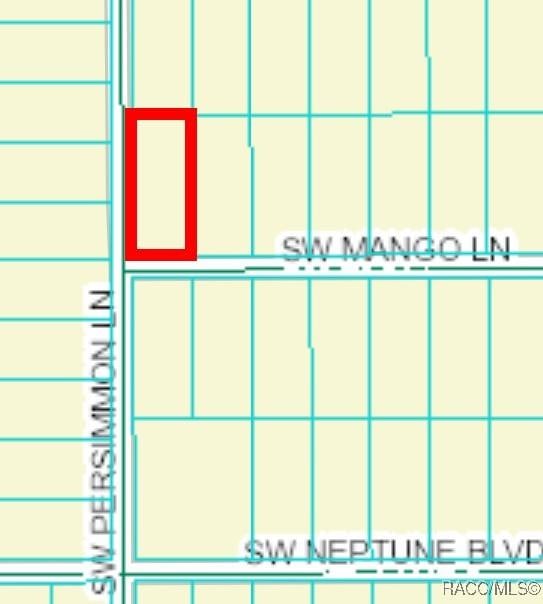 TBD SW Mango Ln, Dunnellon, FL 34431 - photo 3