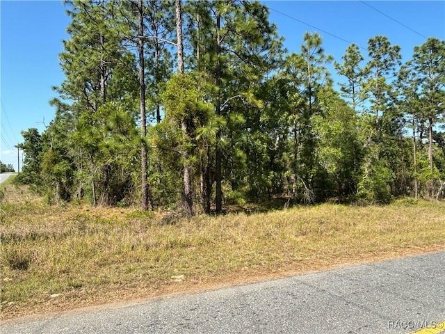 TBD SW Mango Ln, Dunnellon, FL 34431 - photo 7