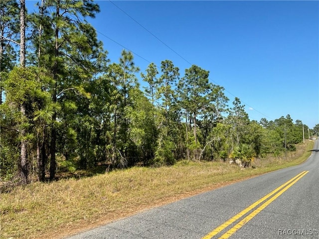 TBD SW Mango Ln, Dunnellon, FL 34431 - photo 6