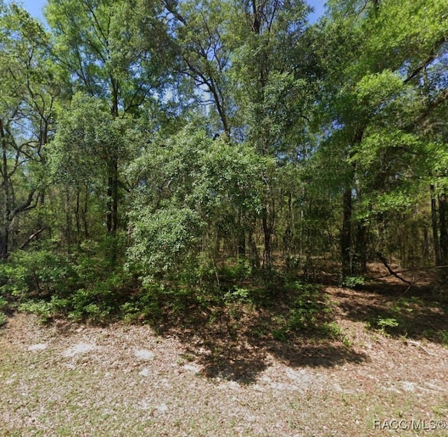 8276 N Orton Way, Dunnellon FL, 34434 land for sale