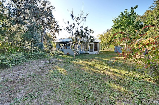 view of yard with a storage unit