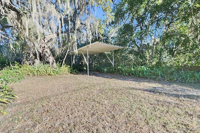 view of yard featuring a carport