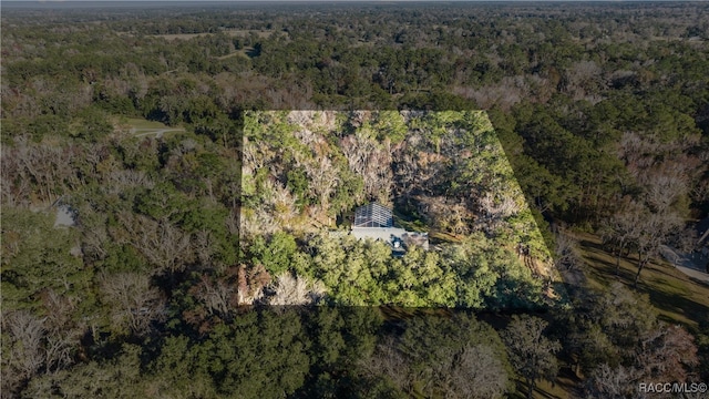 bird's eye view with a forest view