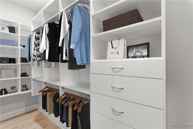 spacious closet with light wood-type flooring