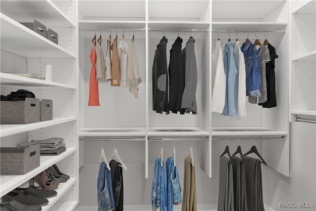 view of walk in closet