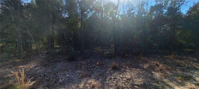 2122 E Newhaven St, Inverness FL, 34453 land for sale