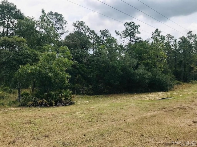 5929 W Dunklin St, Dunnellon FL, 34433 land for sale