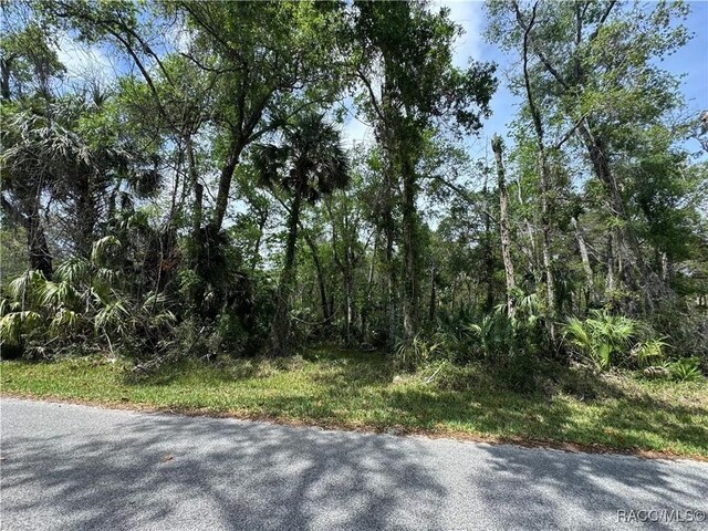 11905 W Eldred Ln, Homosassa, FL 34448