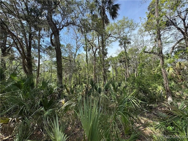 11905 W Eldred Ln, Homosassa, FL 34448
