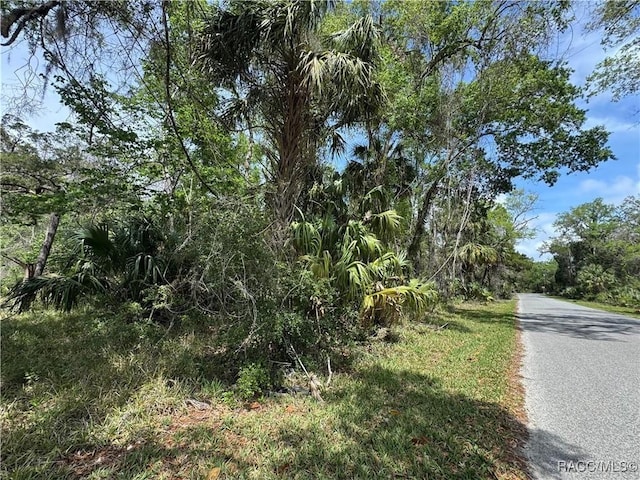11905 W Eldred Ln, Homosassa, FL 34448