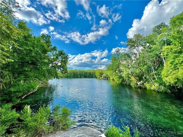 11905 W Eldred Ln, Homosassa, FL 34448