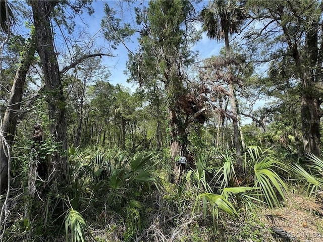11905 W Eldred Ln, Homosassa, FL 34448