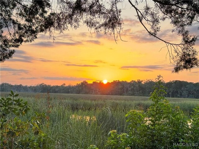 11905 W Eldred Ln, Homosassa, FL 34448