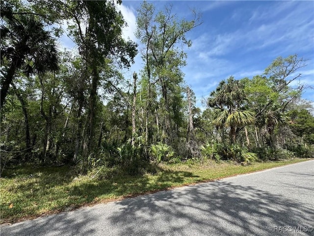 11905 W Eldred Ln, Homosassa, FL 34448