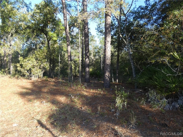 Listing photo 3 for LOT31 SW 93rd Lane Rd, Dunnellon FL 34431